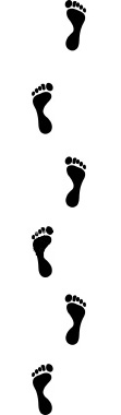 stepsculturalcompetency